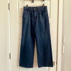 AG The Etta Wide Leg Crop Size 28